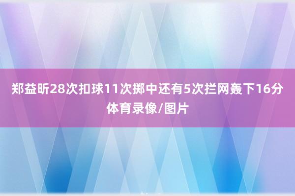 郑益昕28次扣球11次掷中还有5次拦网轰下16分体育录像/图片
