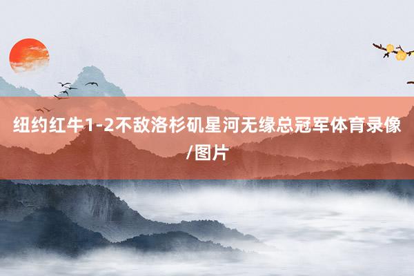 纽约红牛1-2不敌洛杉矶星河无缘总冠军体育录像/图片