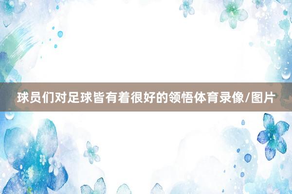 球员们对足球皆有着很好的领悟体育录像/图片